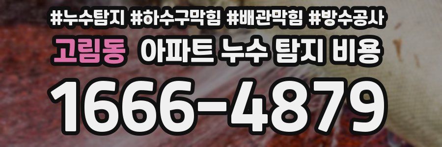 고림동 아파트 누수 탐지 비용