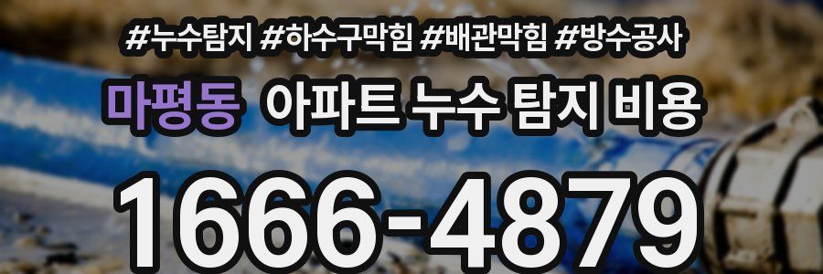 마평동 아파트 누수 탐지 비용