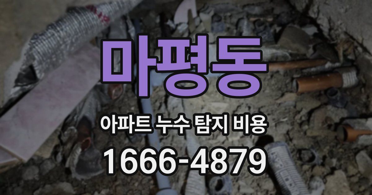 마평동 아파트 누수 탐지 비용