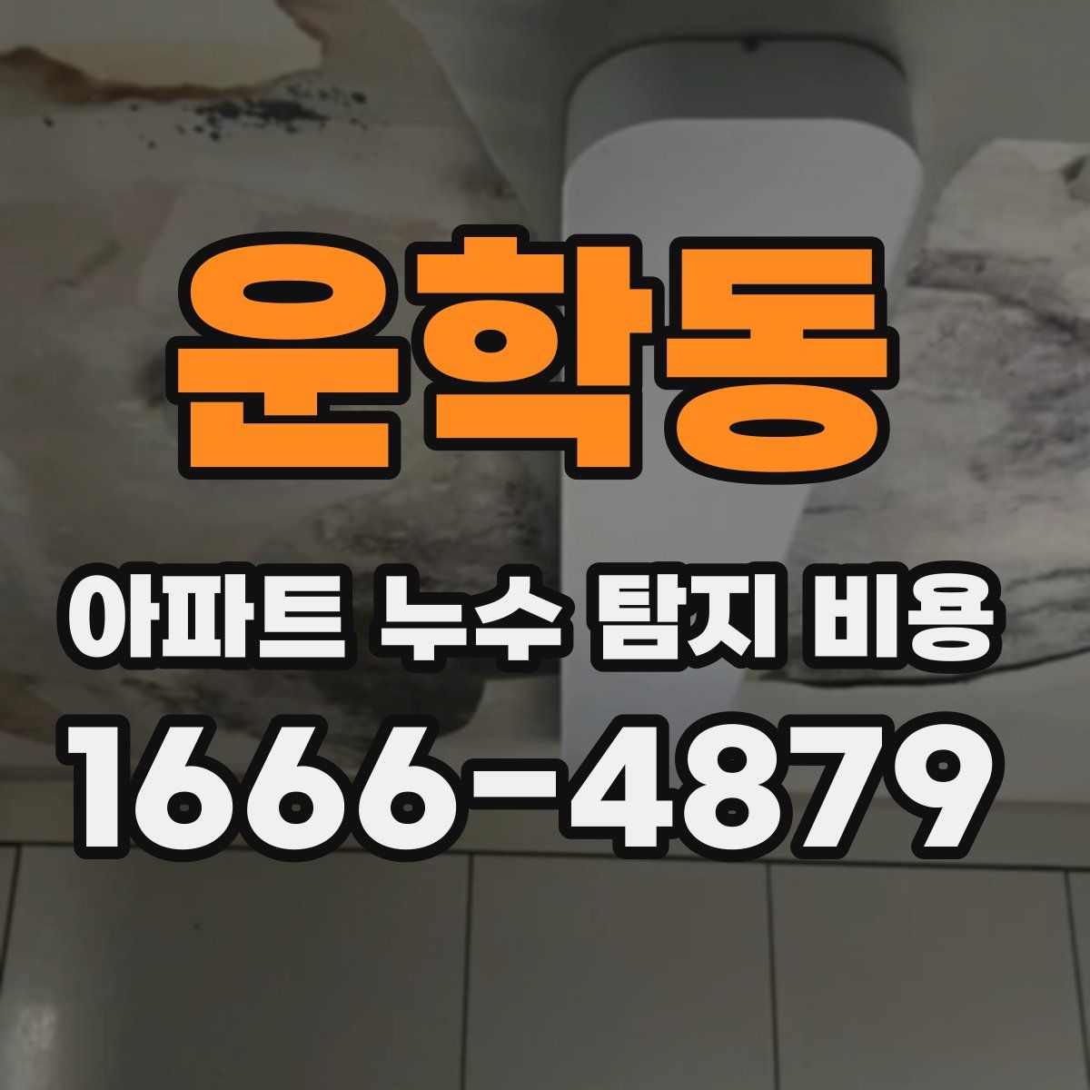 운학동 아파트 누수 탐지 비용