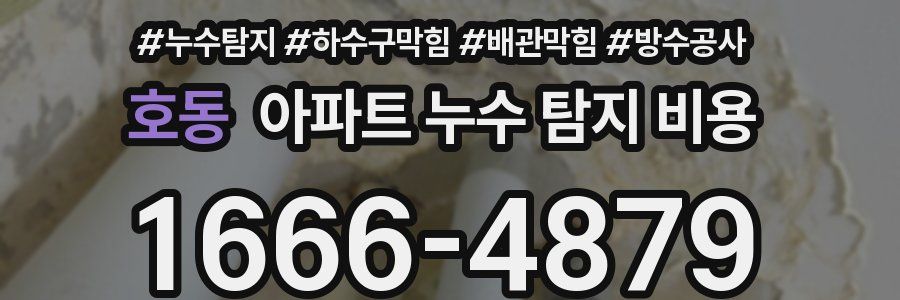 호동 아파트 누수 탐지 비용