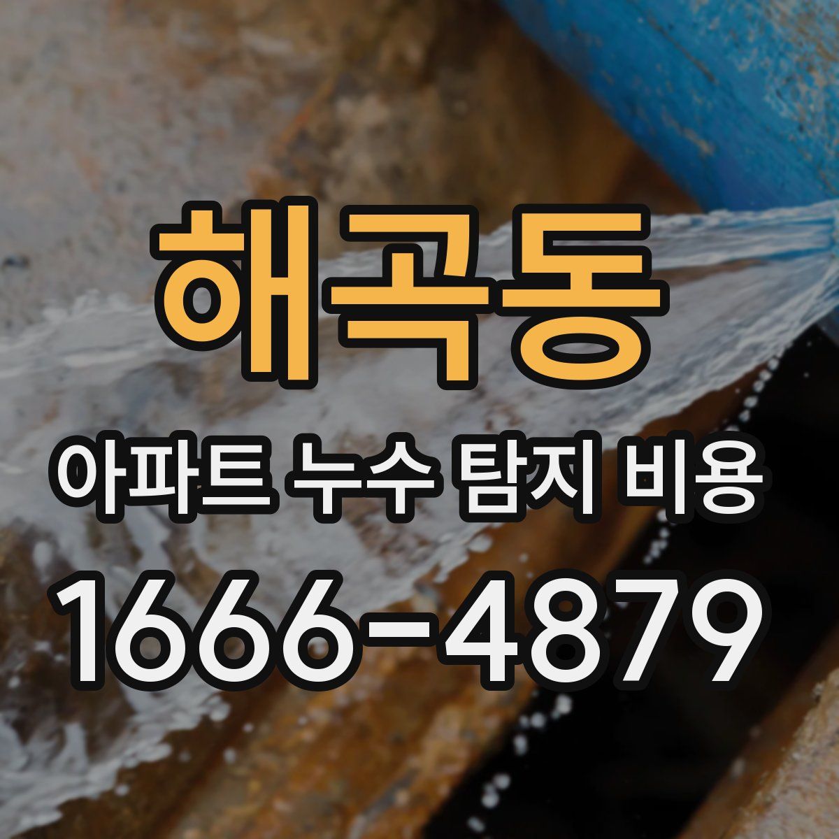 해곡동 아파트 누수 탐지 비용