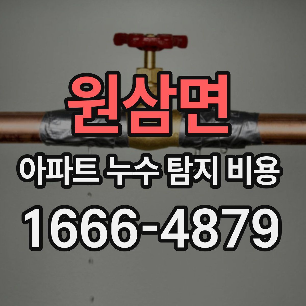 원삼면 아파트 누수 탐지 비용