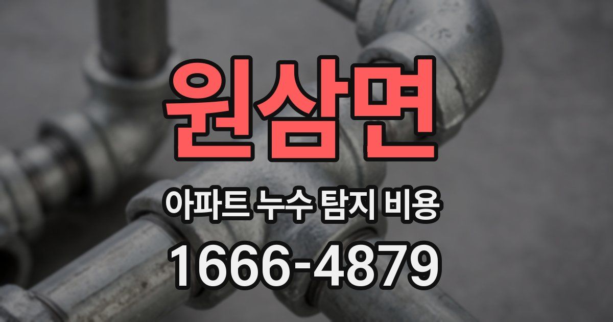 원삼면 아파트 누수 탐지 비용