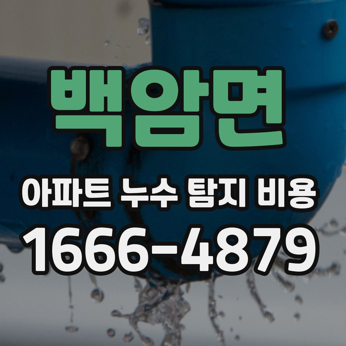 백암면 아파트 누수 탐지 비용