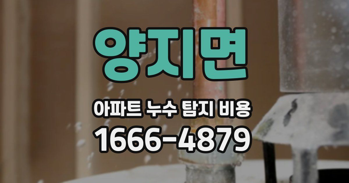 양지면 아파트 누수 탐지 비용