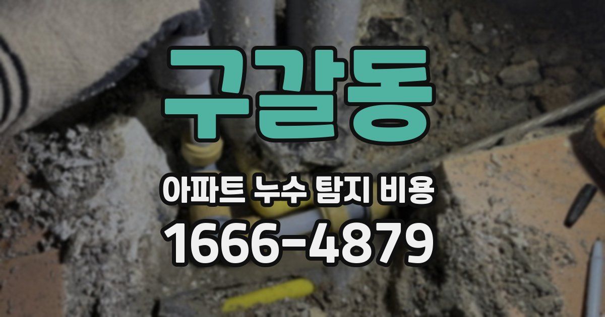 구갈동 아파트 누수 탐지 비용