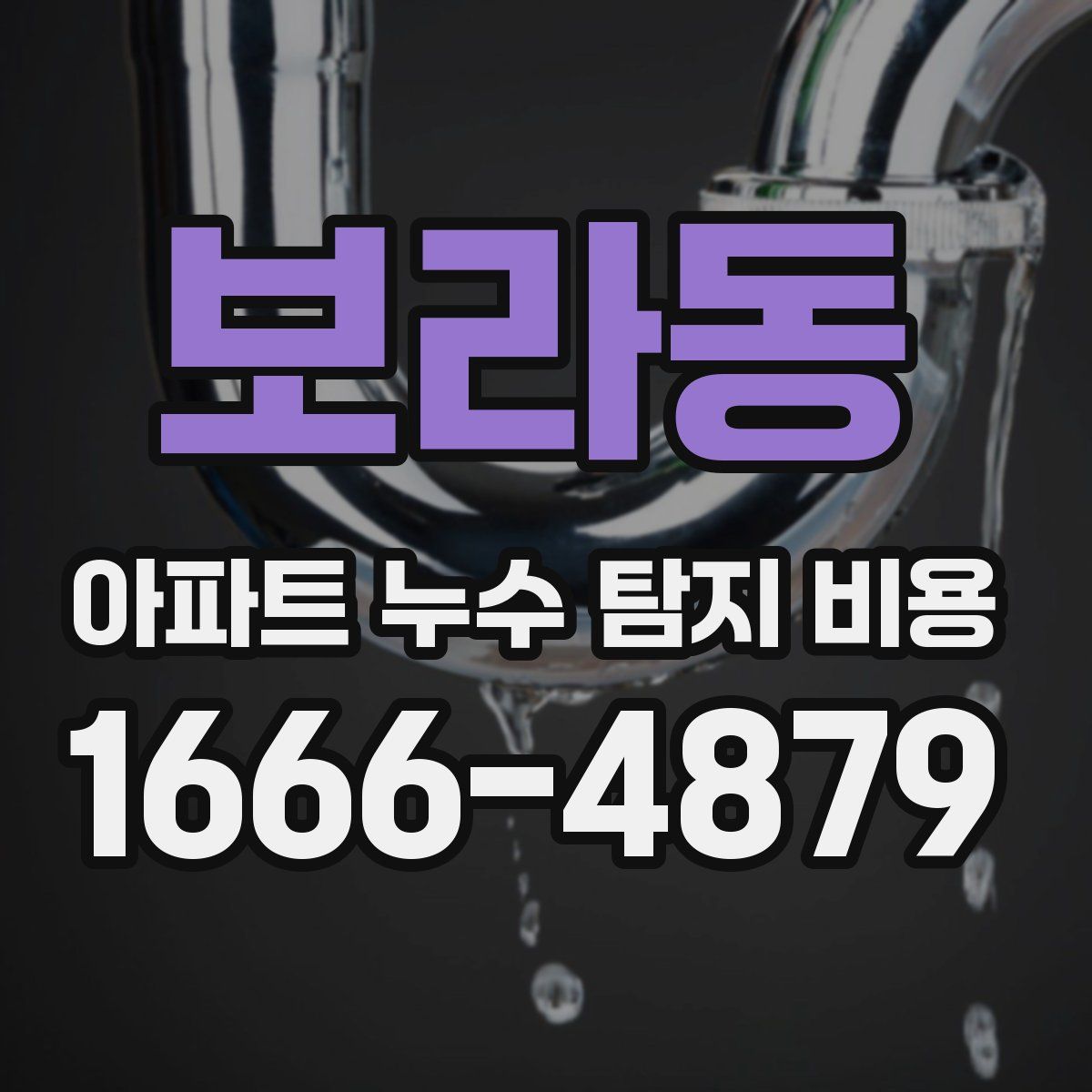 보라동 아파트 누수 탐지 비용