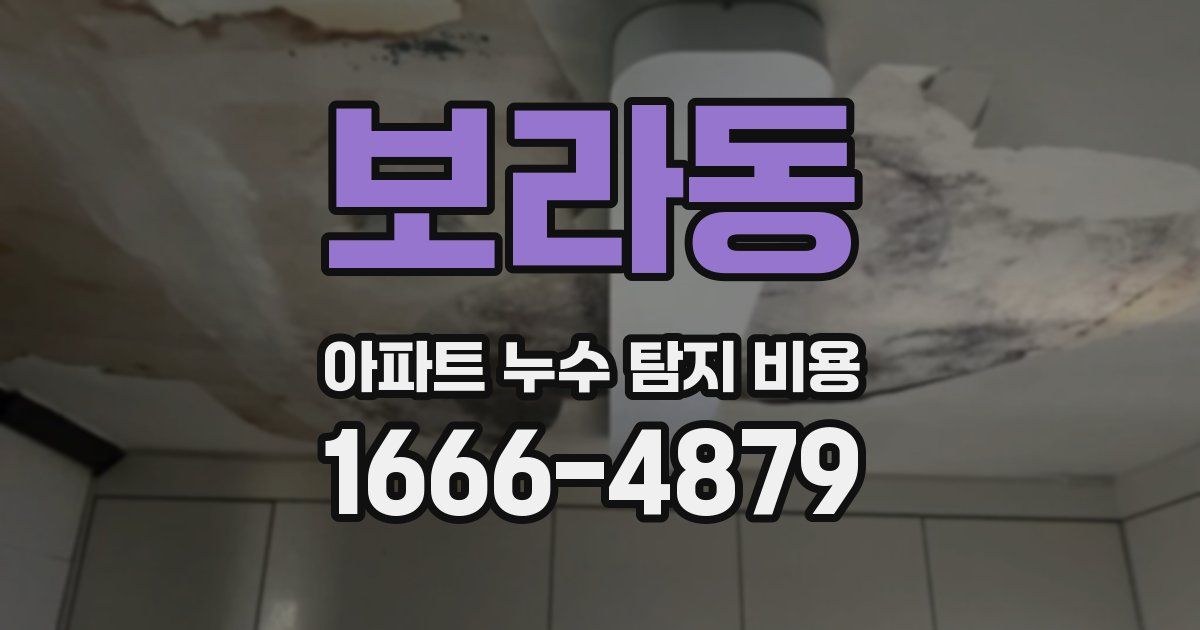 보라동 아파트 누수 탐지 비용