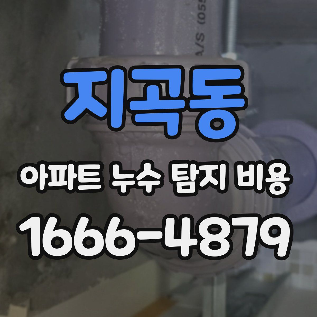 지곡동 아파트 누수 탐지 비용