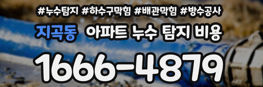 지곡동 아파트 누수 탐지 비용