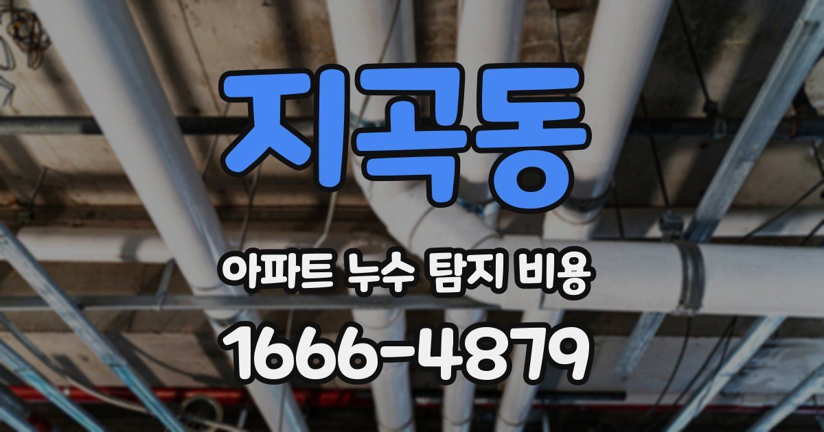 지곡동 아파트 누수 탐지 비용
