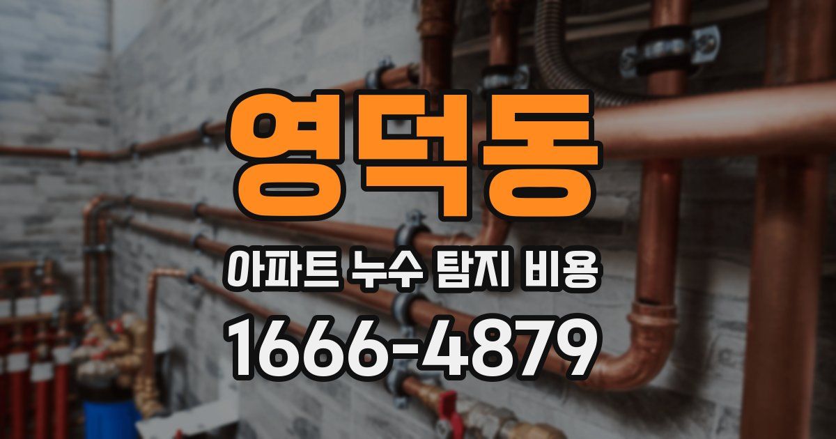 영덕동 아파트 누수 탐지 비용