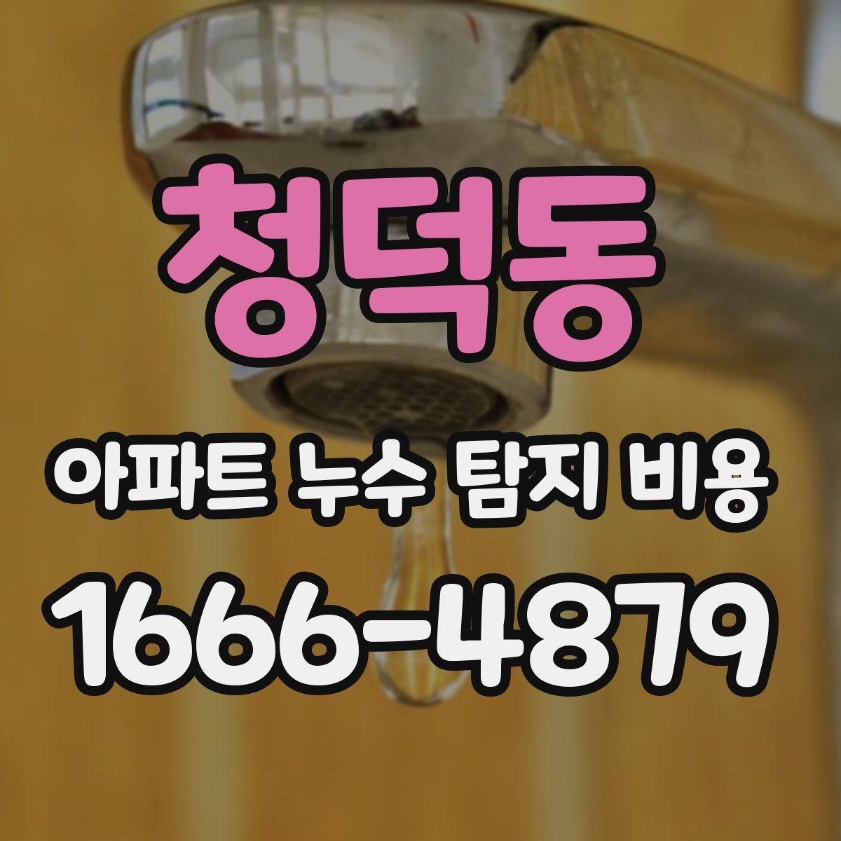 청덕동 아파트 누수 탐지 비용