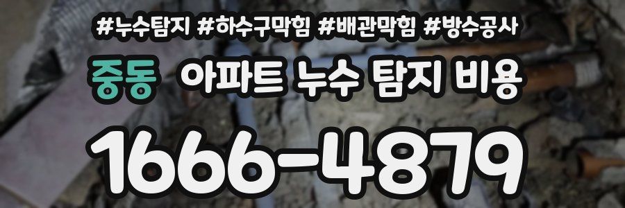 중동 아파트 누수 탐지 비용