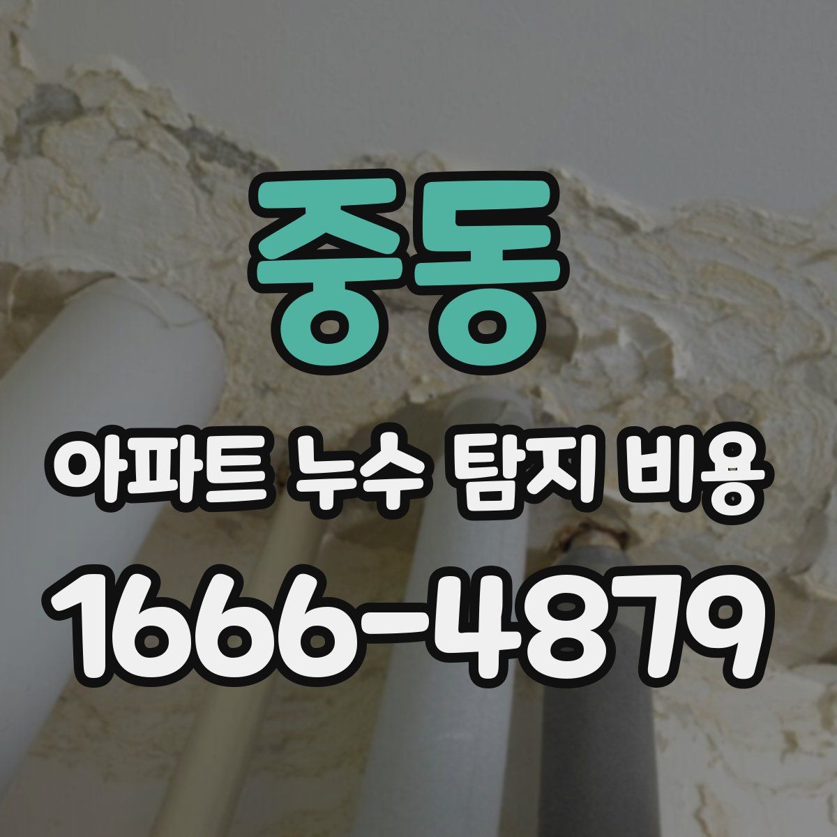 중동 아파트 누수 탐지 비용