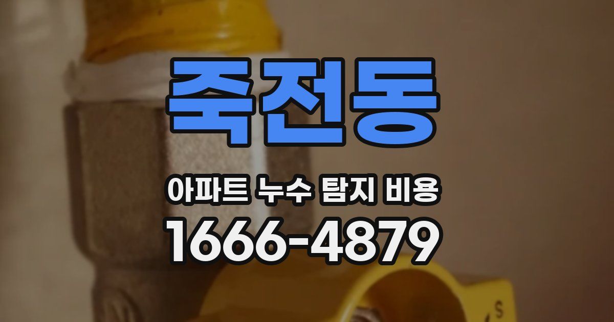 죽전동 아파트 누수 탐지 비용