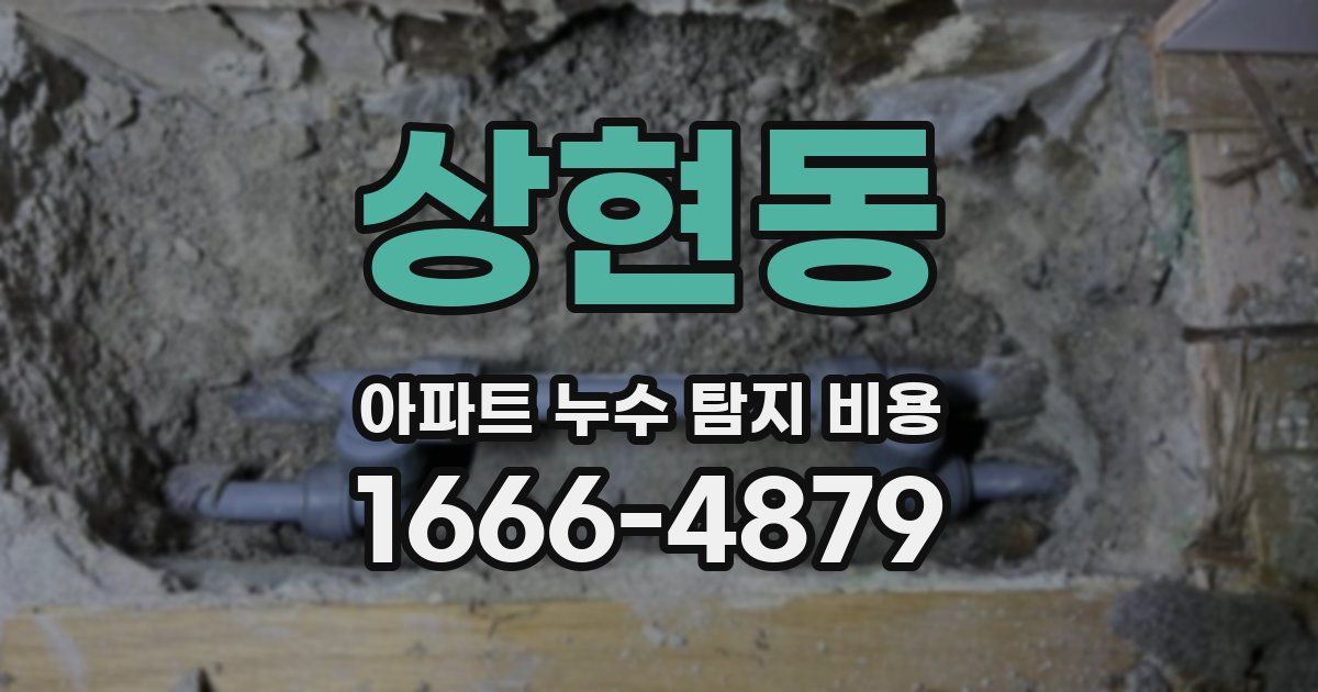 상현동 아파트 누수 탐지 비용