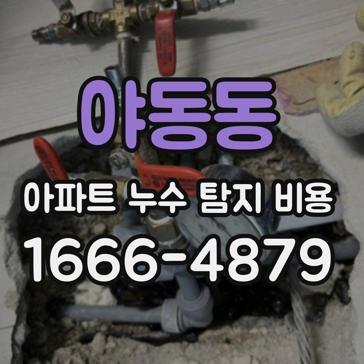 야동동 아파트 누수 탐지 비용