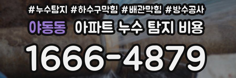 야동동 아파트 누수 탐지 비용