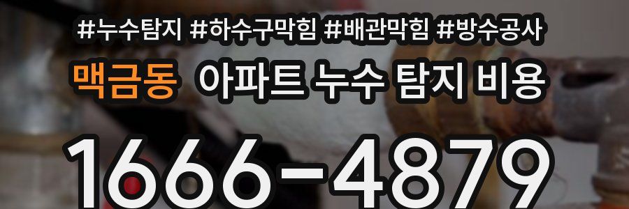맥금동 아파트 누수 탐지 비용