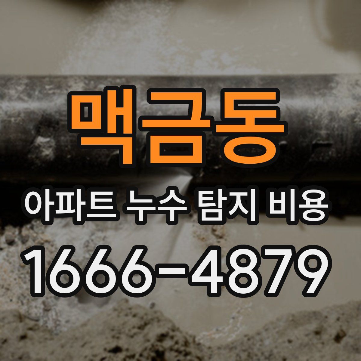 맥금동 아파트 누수 탐지 비용
