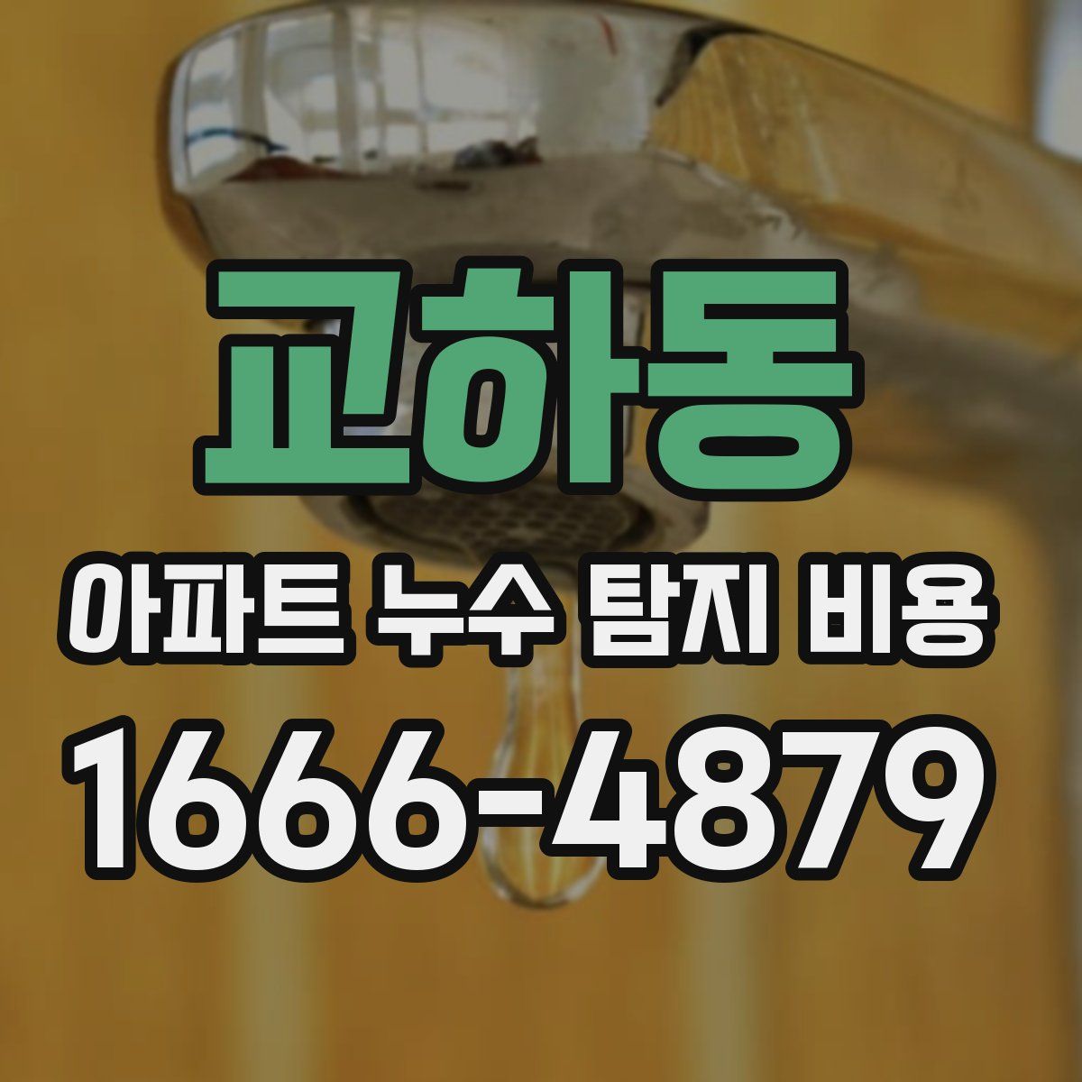 교하동 아파트 누수 탐지 비용