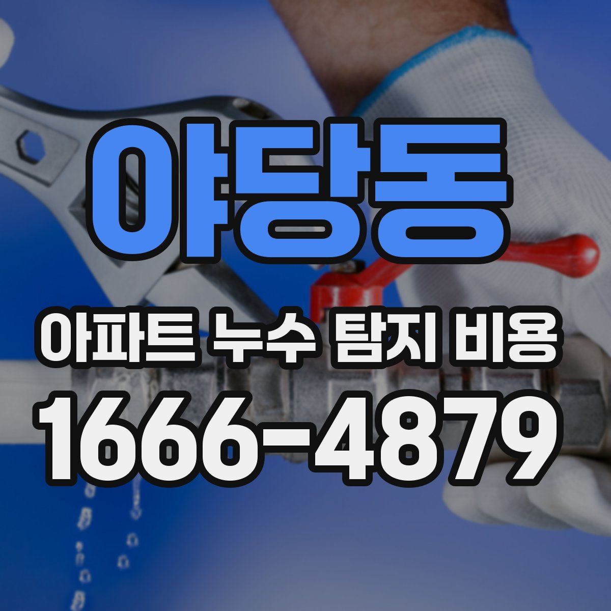 야당동 아파트 누수 탐지 비용
