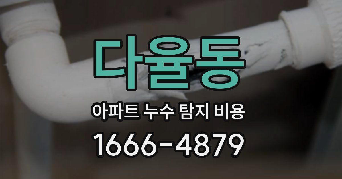다율동 아파트 누수 탐지 비용