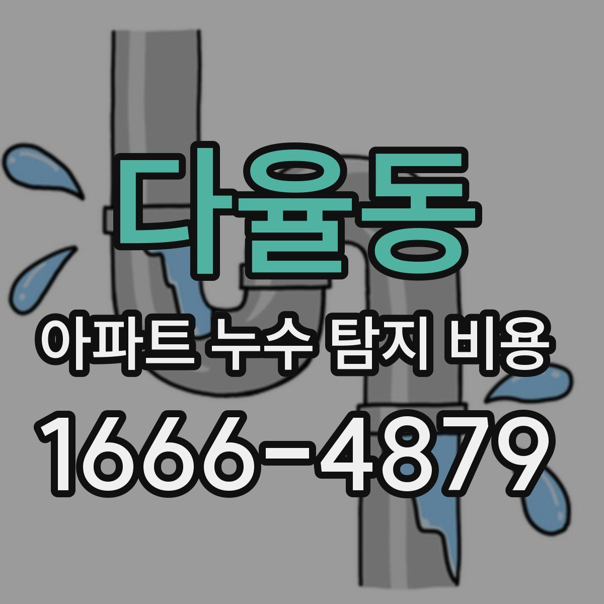 다율동 아파트 누수 탐지 비용