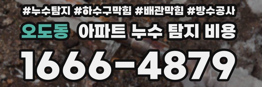 오도동 아파트 누수 탐지 비용
