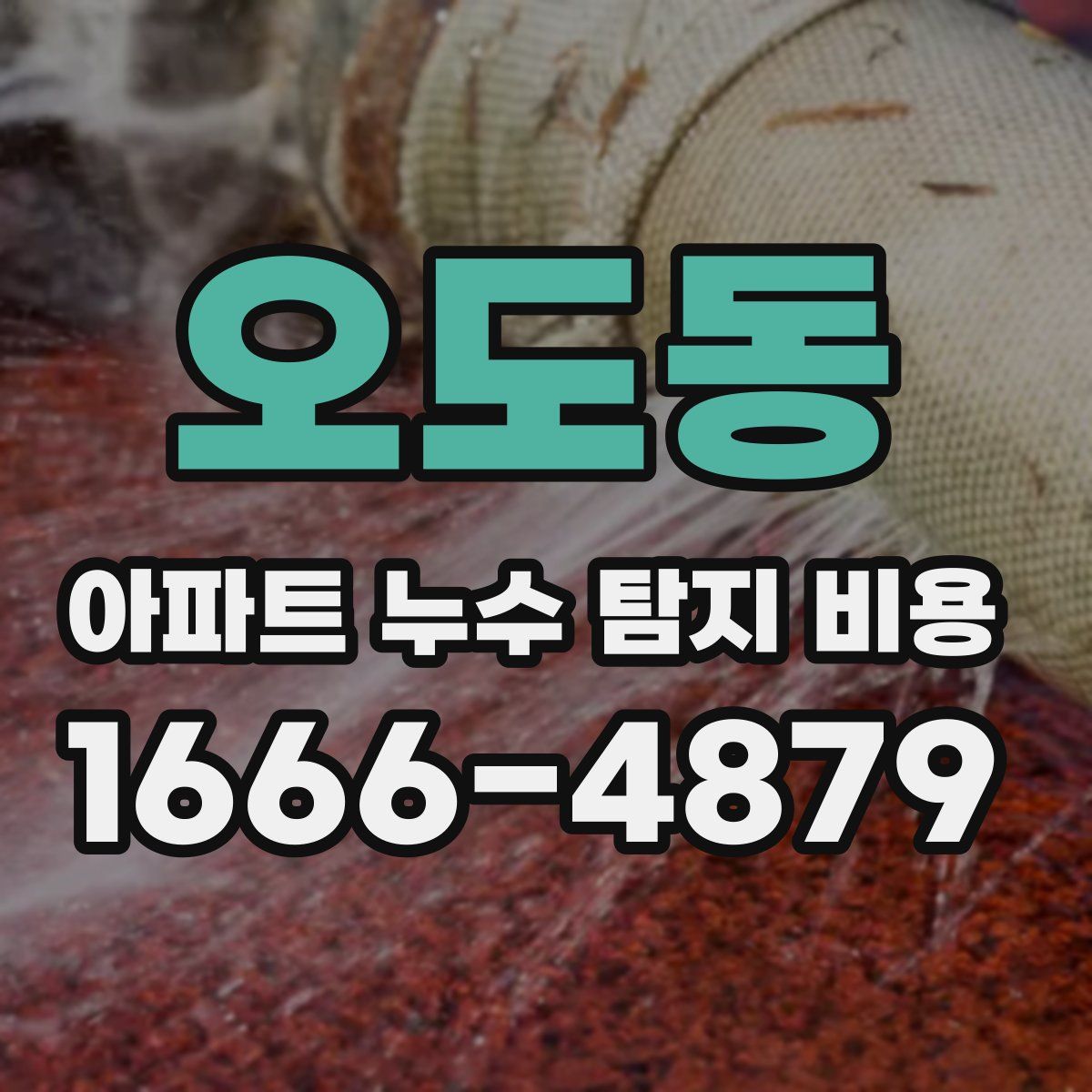 오도동 아파트 누수 탐지 비용