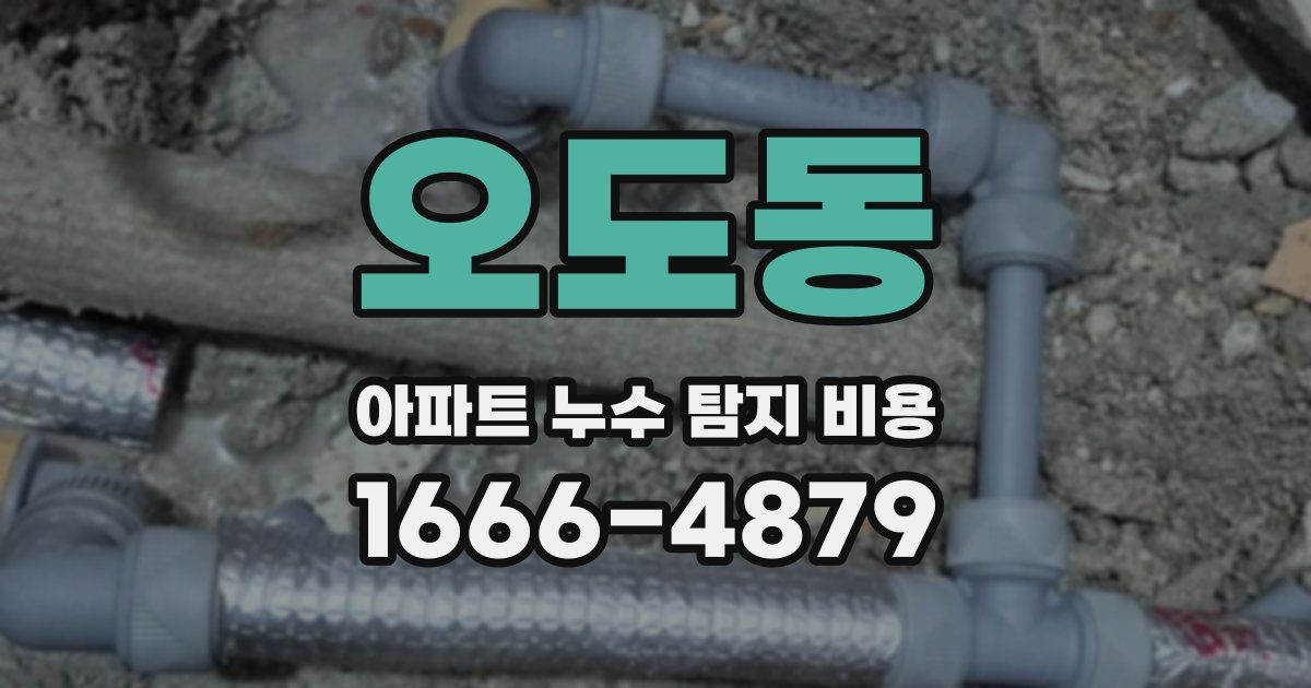 오도동 아파트 누수 탐지 비용