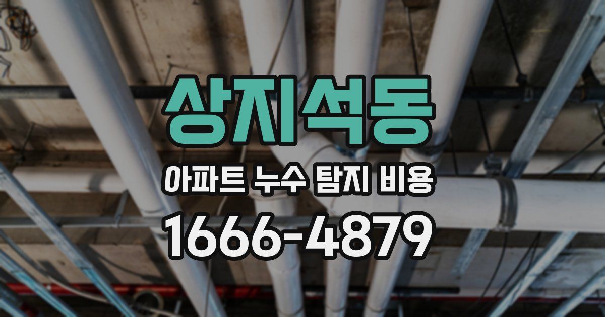상지석동 아파트 누수 탐지 비용
