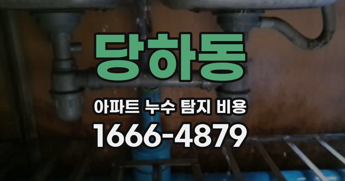 당하동 아파트 누수 탐지 비용