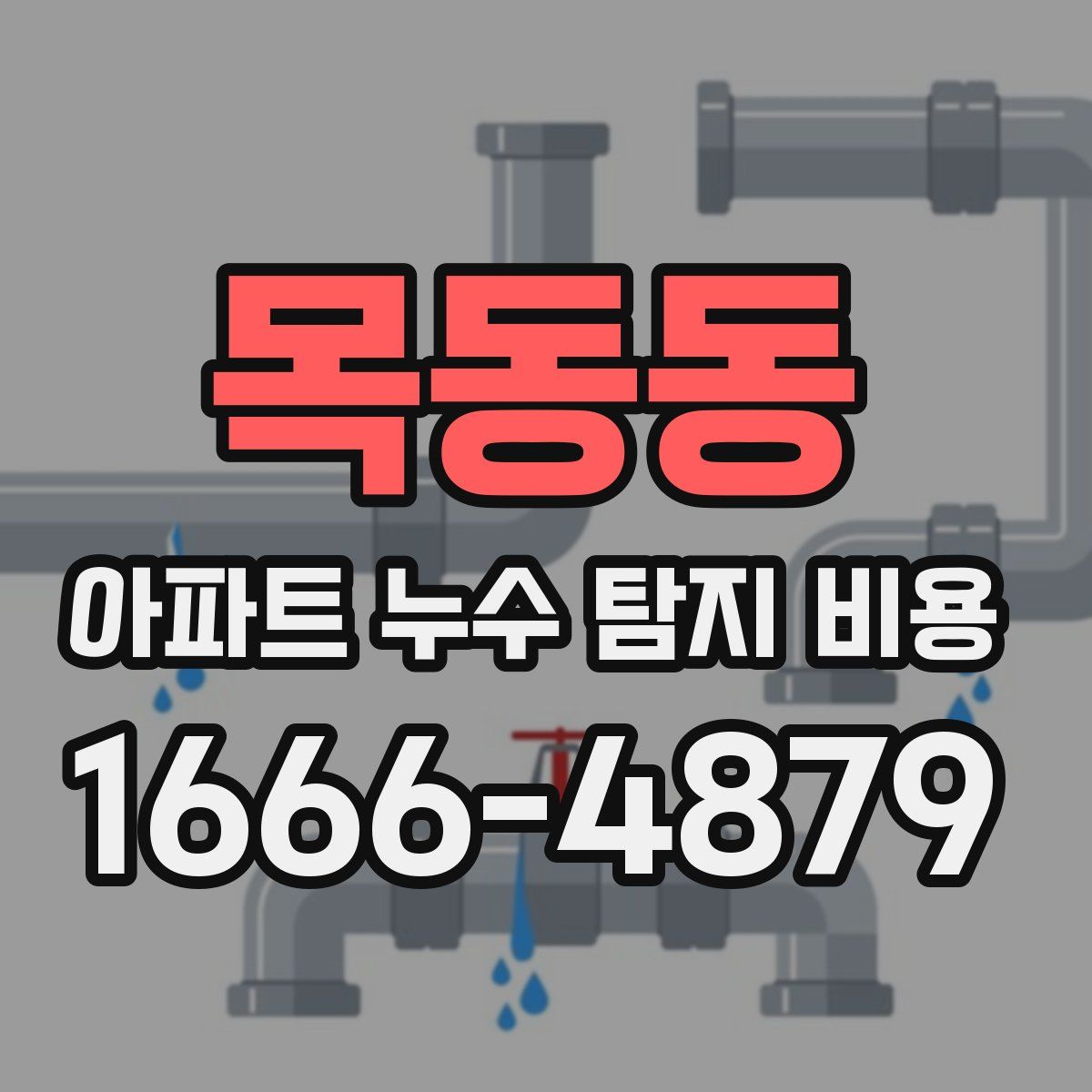 목동동 아파트 누수 탐지 비용