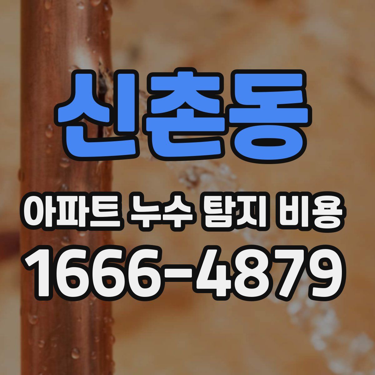 신촌동 아파트 누수 탐지 비용