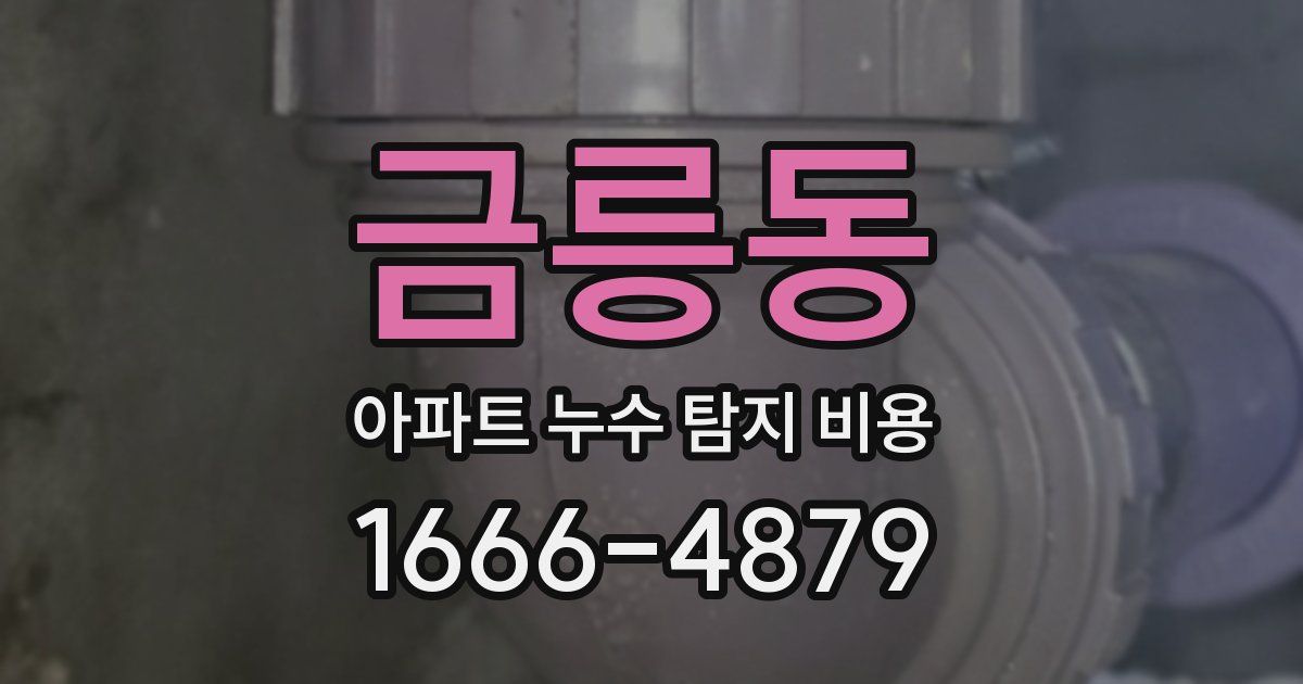 금릉동 아파트 누수 탐지 비용