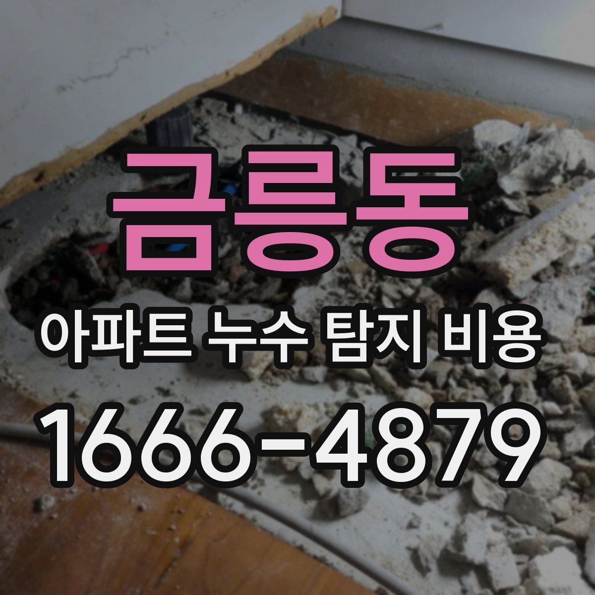 금릉동 아파트 누수 탐지 비용