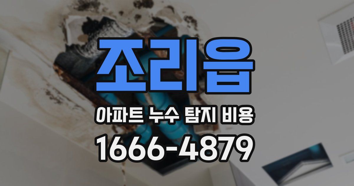 조리읍 아파트 누수 탐지 비용
