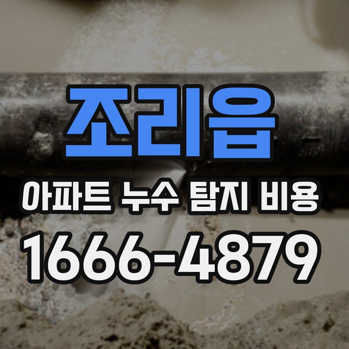 조리읍 아파트 누수 탐지 비용