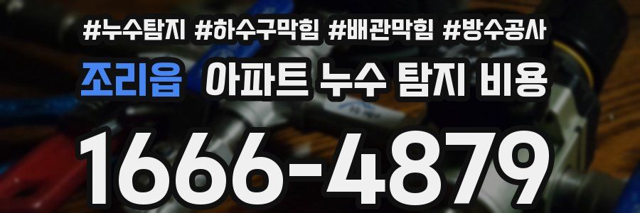 조리읍 아파트 누수 탐지 비용