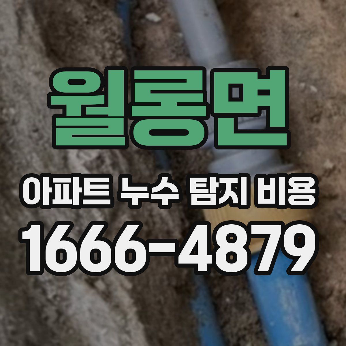 월롱면 아파트 누수 탐지 비용