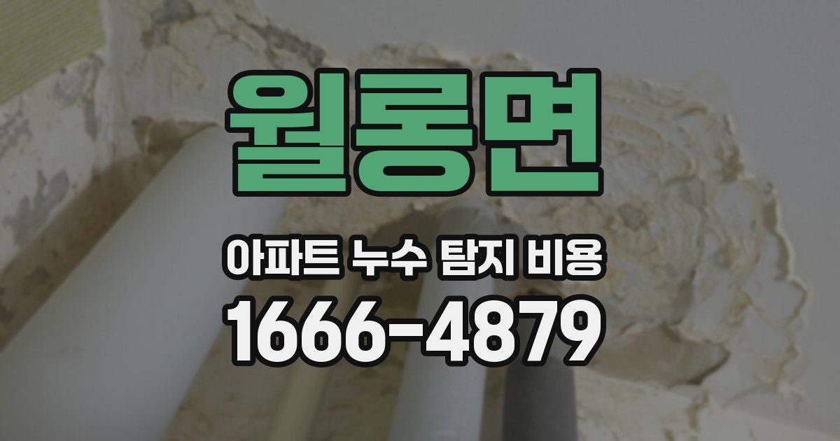 월롱면 아파트 누수 탐지 비용