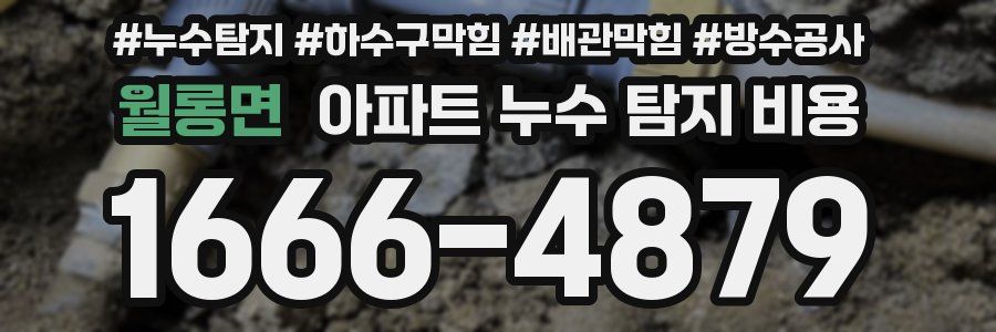 월롱면 아파트 누수 탐지 비용