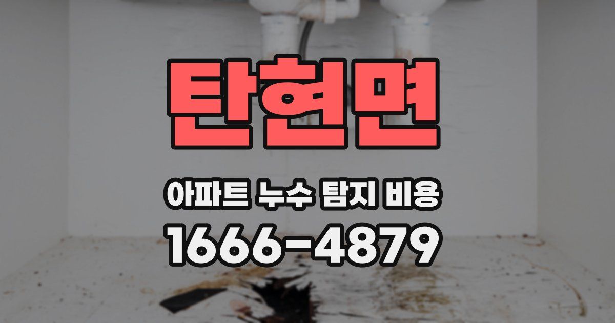 탄현면 아파트 누수 탐지 비용