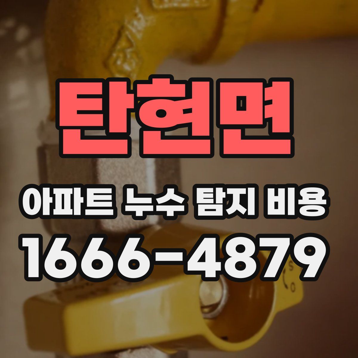 탄현면 아파트 누수 탐지 비용