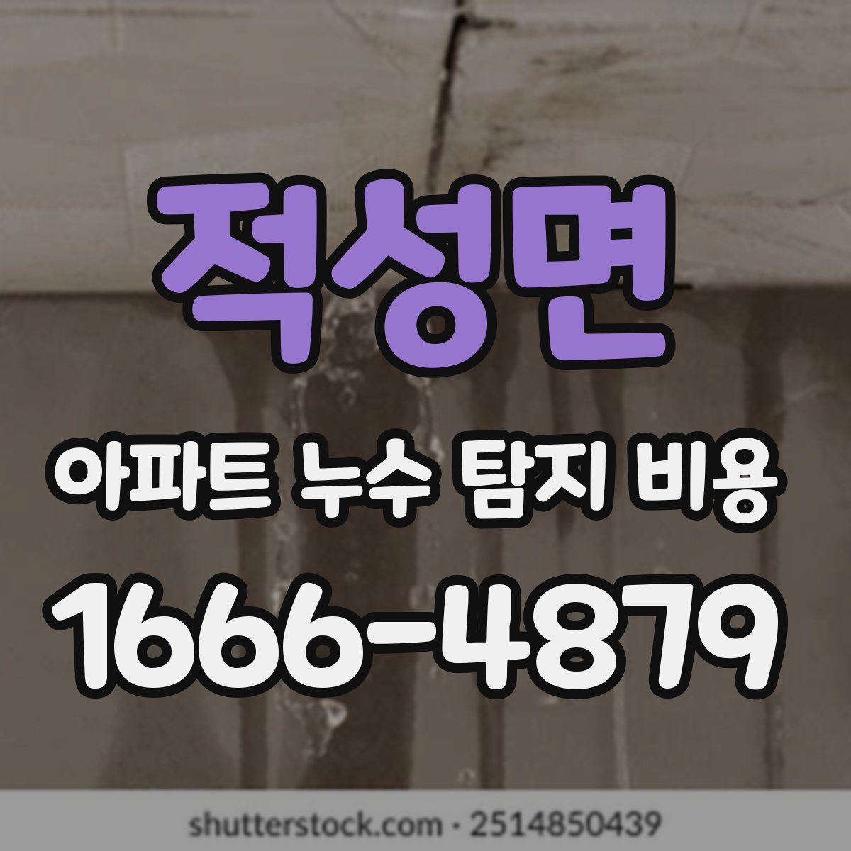 적성면 아파트 누수 탐지 비용
