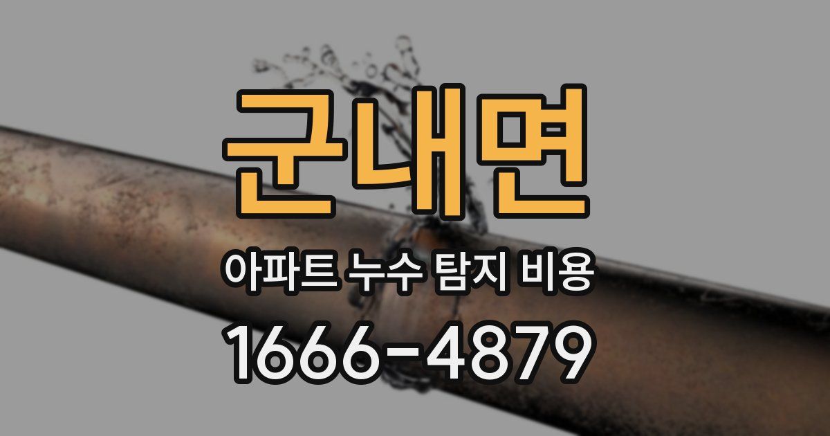 군내면 아파트 누수 탐지 비용