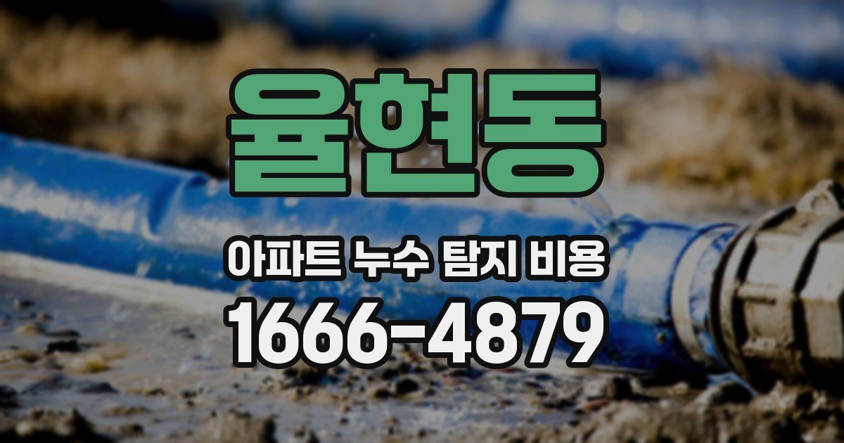 율현동 아파트 누수 탐지 비용